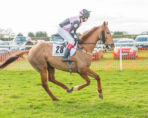 Race 2 - Open Maiden Div 1 -6