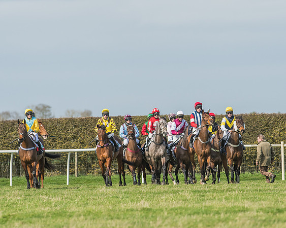 Race 2 - Open Maiden Div 1 -47
