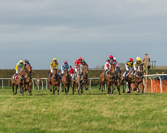 Race 2 - Open Maiden Div 1 -48