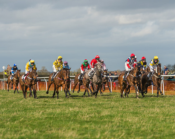 Race 2 - Open Maiden Div 1 -49