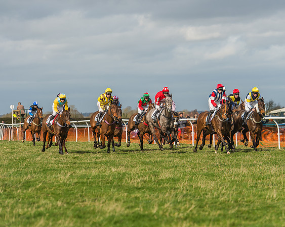 Race 2 - Open Maiden Div 1 -50