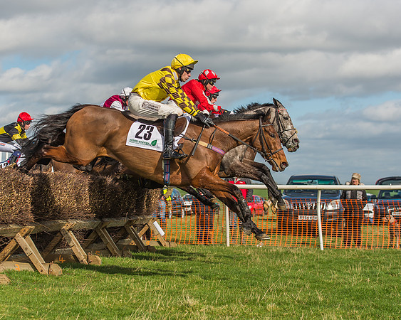 Race 2 - Open Maiden Div 1 -54