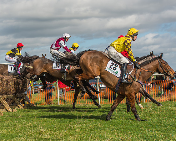 Race 2 - Open Maiden Div 1 -56
