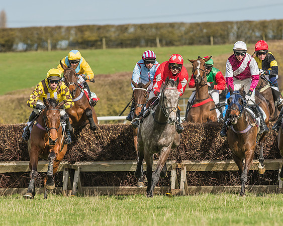 Race 2 - Open Maiden Div 1 -72