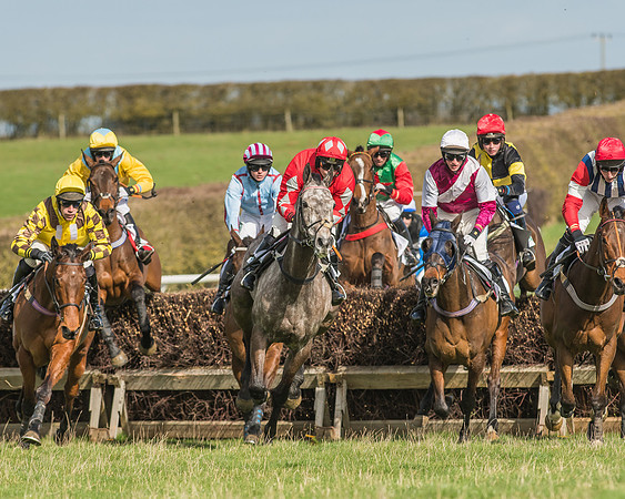 Race 2 - Open Maiden Div 1 -73
