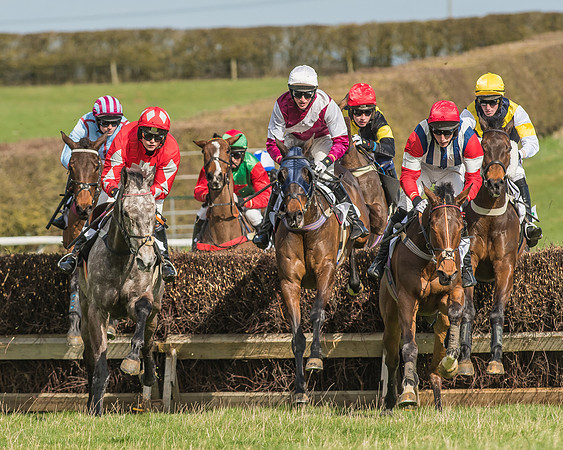 Race 2 - Open Maiden Div 1 -74