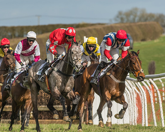 Race 2 - Open Maiden Div 1 -79
