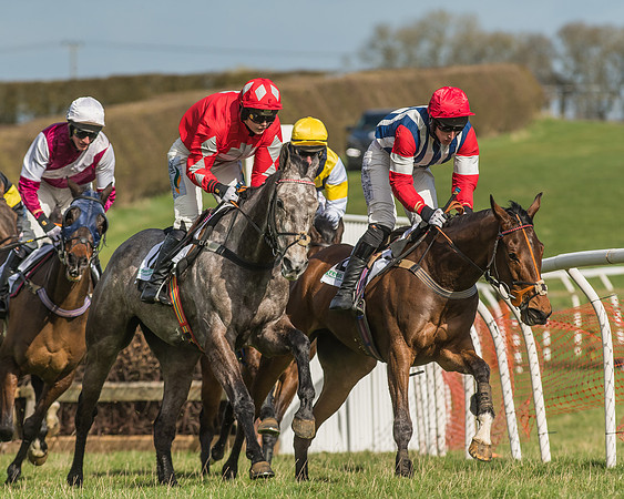 Race 2 - Open Maiden Div 1 -80