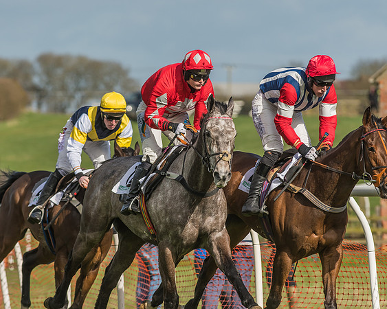 Race 2 - Open Maiden Div 1 -82