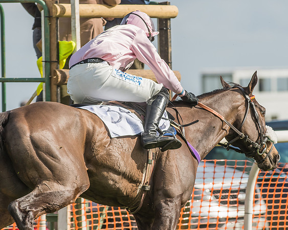 Race 2 - Open Maiden Div 1 -89