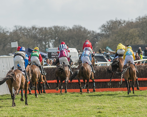 Race 2 - Open Maiden Div 1 -91