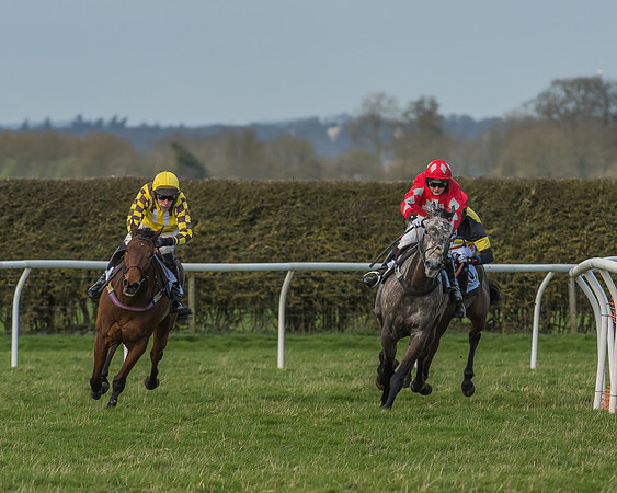 Race 2 - Open Maiden Div 1 -95