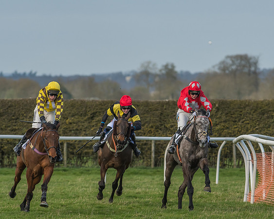 Race 2 - Open Maiden Div 1 -96