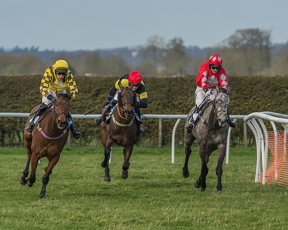 Race 2 - Open Maiden Div 1 -97