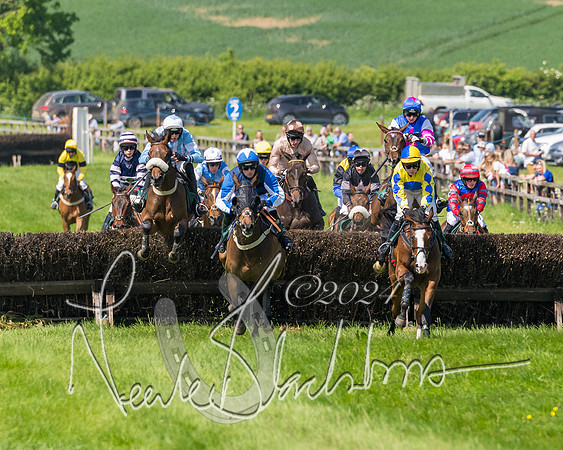 Race 2 - The Maiden  (203 of 442)