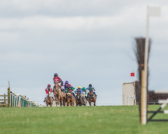 Pony Race 1 - 138cm -2