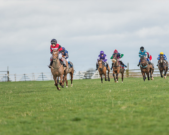 Pony Race 1 - 138cm -8