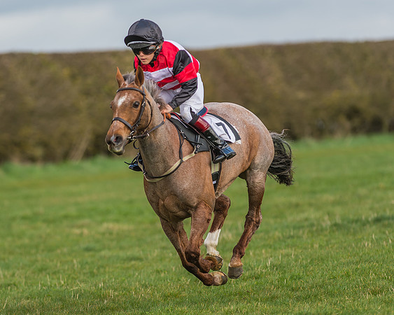 Pony Race 1 - 138cm -9