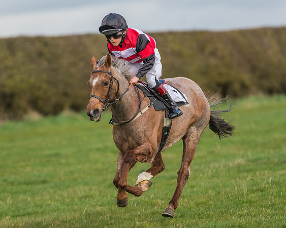Pony Race 1 - 138cm -10