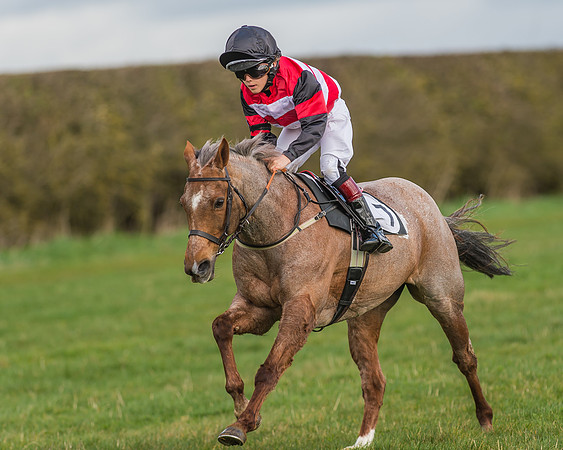 Pony Race 1 - 138cm -11