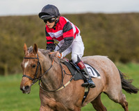 Pony Race 1 - 138cm -12