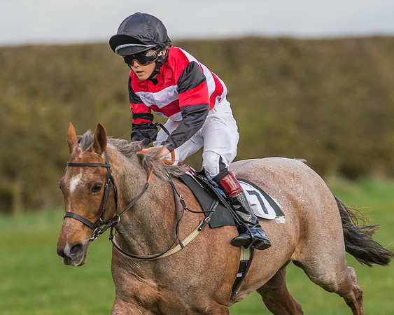 Pony Race 1 - 138cm -12