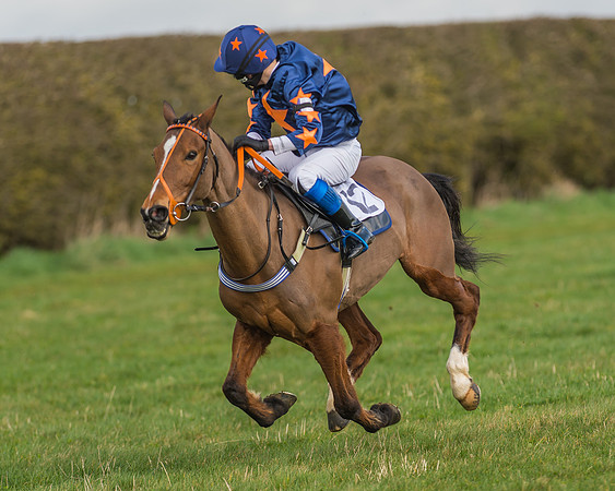 Pony Race 1 - 138cm -14