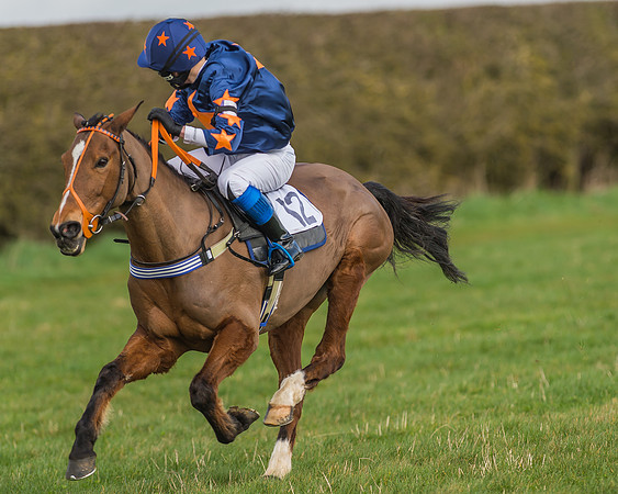 Pony Race 1 - 138cm -15