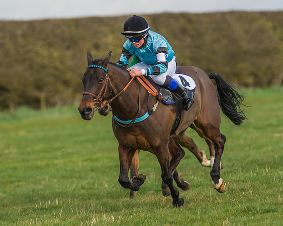 Pony Race 1 - 138cm -16