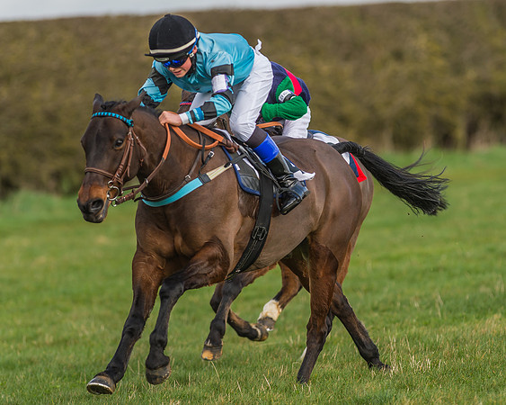 Pony Race 1 - 138cm -18