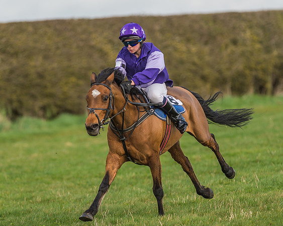 Pony Race 1 - 138cm -19