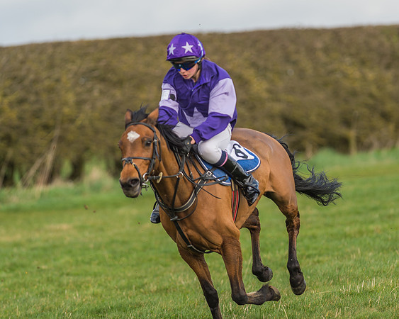 Pony Race 1 - 138cm -20