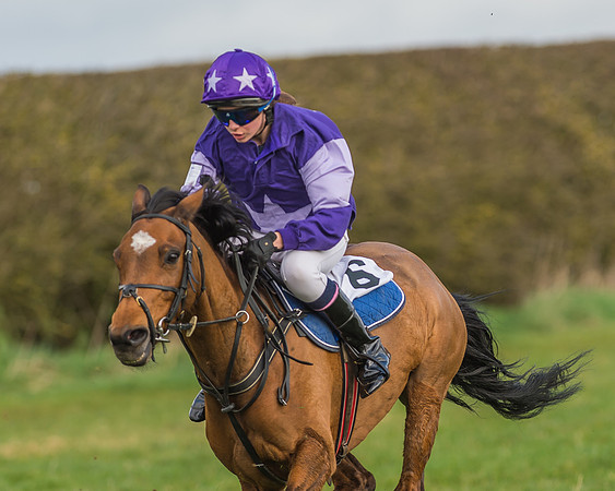 Pony Race 1 - 138cm -21