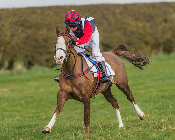 Pony Race 1 - 138cm -23