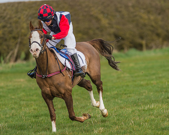 Pony Race 1 - 138cm -24