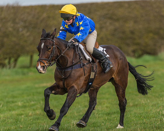 Pony Race 1 - 138cm -26