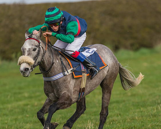 Pony Race 1 - 138cm -28