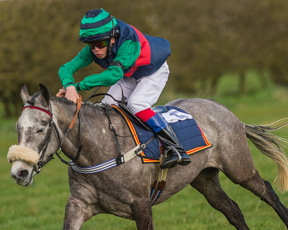 Pony Race 1 - 138cm -29