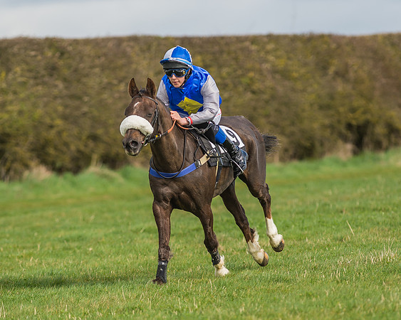 Pony Race 1 - 138cm -33