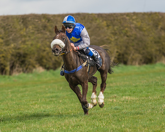 Pony Race 1 - 138cm -34