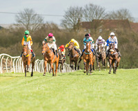 Pony Race 2 - 148cm -2