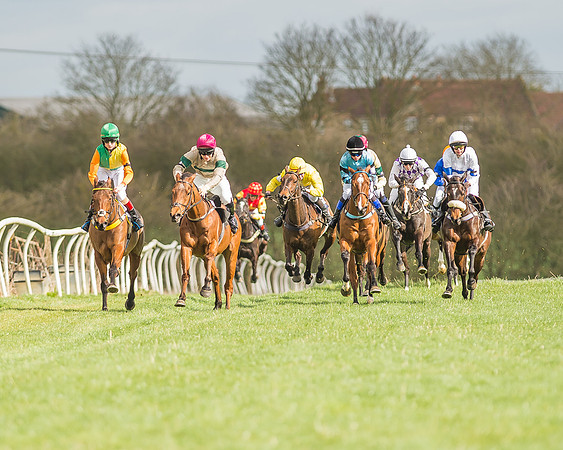 Pony Race 2 - 148cm -2
