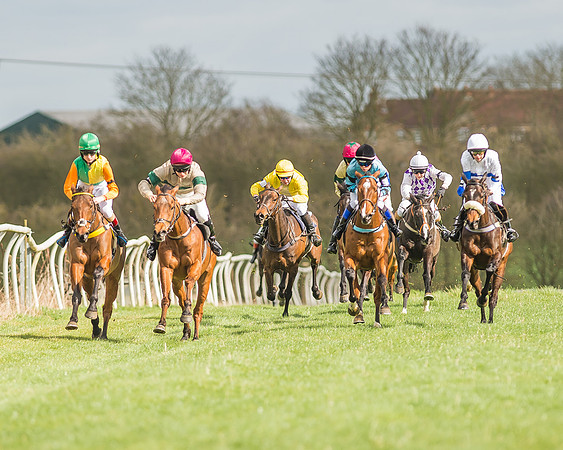 Pony Race 2 - 148cm -4