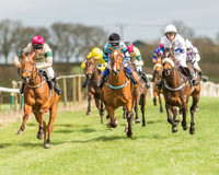 Ponies
