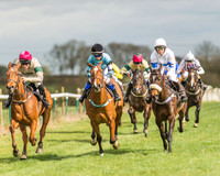 Pony Race 2 - 148cm -19