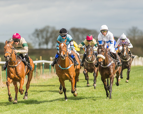 Pony Race 2 - 148cm -19
