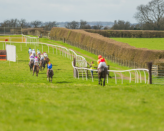 Pony Race 2 - 148cm -33