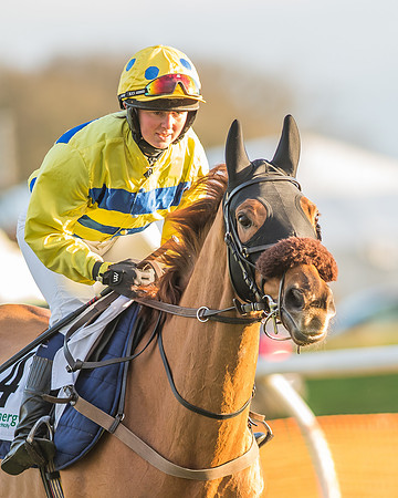 Race 8 - Restricted Race-2