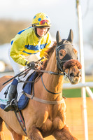 Race 8 - Restricted Race-3