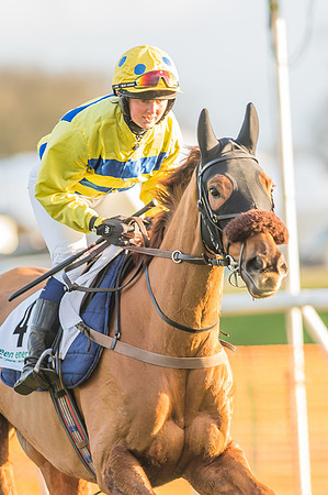 Race 8 - Restricted Race-3